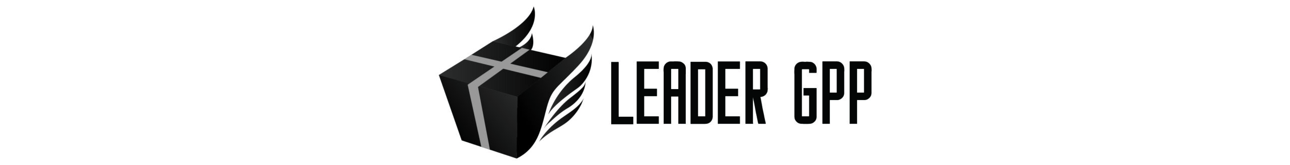 Leader Packaging